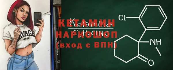 твердый Бородино
