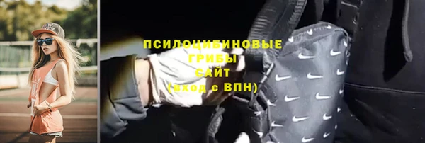 соль ск Козловка