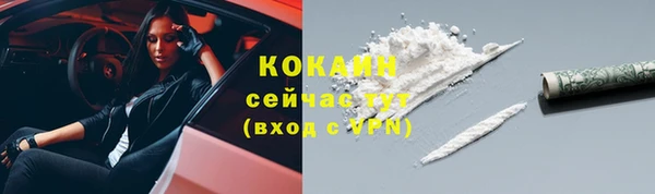 твердый Бородино