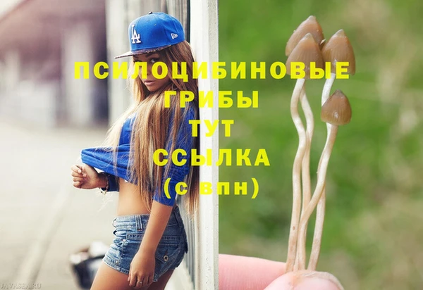 твердый Бородино