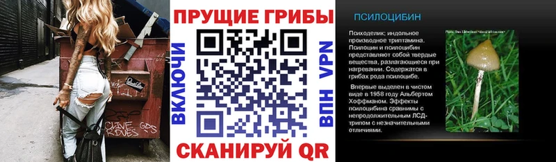 Псилоцибиновые грибы прущие грибы  дарнет шоп  Весьегонск 
